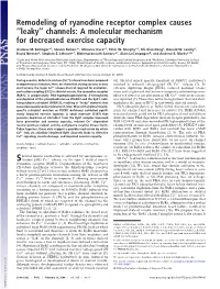 Remodeling of Ryanodine Receptor Complex Causes ‘‘Leaky’’ Channels: a Molecular Mechanism for Decreased Exercise Capacity