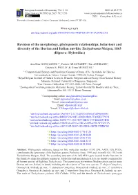Revision of the Morphology, Phylogenetic Relationships, Behaviour and Diversity of the Iberian and Italian Ant-Like Tachydromia Meigen, 1803 (Diptera: Hybotidae)