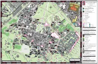 Stanford Parking-Map