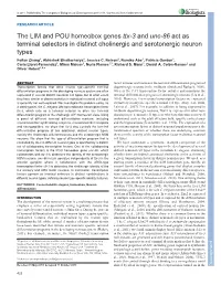 The LIM and POU Homeobox Genes Ttx-3 and Unc-86 Act As Terminal