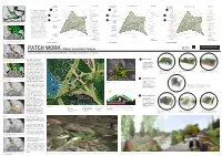 PATCH WORK:Albano Sustainable Campus
