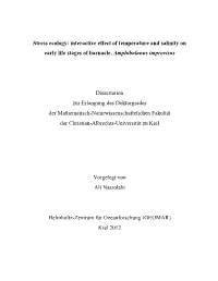 Stress Ecology: Interactive Effect of Temperature and Salinity on Early Life Stages of Barnacle, Amphibalanus Improvisus