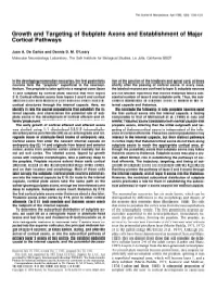 Growth and Targeting of Subplate Axons and Establishment of Major Cortical Pathways