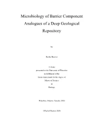 Microbiology of Barrier Component Analogues of a Deep Geological Repository