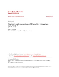 Vice Throughout My Masters Program