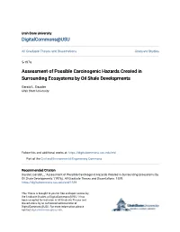 Assessment of Possible Carcinogenic Hazards Created in Surrounding Ecosystems by Oil Shale Developments