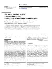Bacterial and Eukaryotic Phosphoketolases: Phylogeny, Distribution and Evolution