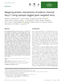 Mapping Protein Interactions of Sodium Channel