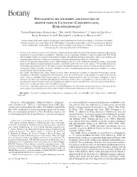 Phylogenetic Relationships and Evolution Of
