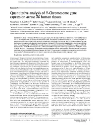 Quantitative Analysis of Y-Chromosome Gene Expression Across 36 Human Tissues