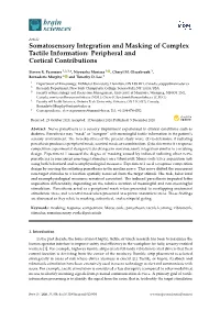 Somatosensory Integration and Masking of Complex Tactile Information: Peripheral and Cortical Contributions