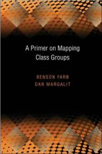 A Primer on Mapping Class Groups (PMS-49) (Princeton Mathematical)