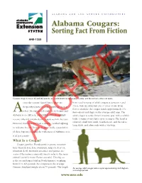 Alabama Cougars: Sorting Fact from Fiction