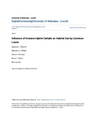 Influence of Invasive Hybrid Cattails on Habitat Use by Common Loons