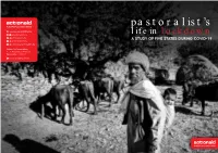 Pastoralist's Life in Lockdown
