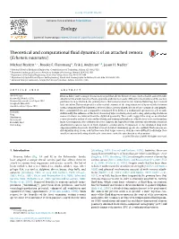Theoretical and Computational Fluid Dynamics of an Attached Remora