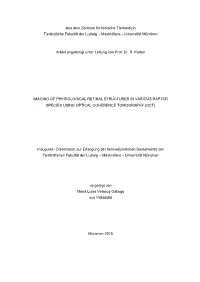 Imaging of Physiological Retinal Structures in Various Raptor Species Using Optical Coherence Tomography (Oct)