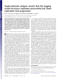 Single-Molecule Analysis Reveals That the Lagging Strand Increases Replisome Processivity but Slows Replication Fork Progression