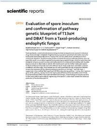 Evaluation of Spore Inoculum and Confirmation of Pathway Genetic