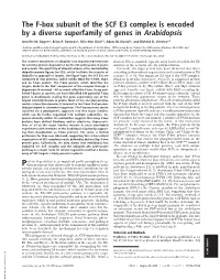 The F-Box Subunit of the SCF E3 Complex Is Encoded by a Diverse Superfamily of Genes in Arabidopsis