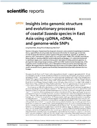 Insights Into Genomic Structure and Evolutionary Processes of Coastal Suaeda Species in East Asia Using Cpdna, Ndna, and Genome