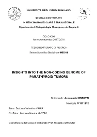 Insights Into the Non-Coding Genome of Parathyroid Tumors