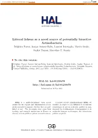 Littoral Lichens As a Novel Source of Potentially Bioactive Actinobacteria