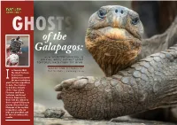 Of the Galapagos: HOW SELECTIVE BREEDING IS HELPING BRING EXTINCT GIANT TORTOISES BACK from the DEAD