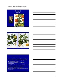 Tropical Horticulture: Lecture 32 1