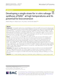 Developing a Single Strain for in Vitro Salvage Synthesis of NAD+ at High