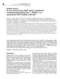 A Non-Synonymous SNP Within Membrane Metalloendopeptidase-Like 1 (MMEL1) Is Associated with Multiple Sclerosis