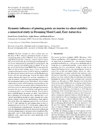Dynamic Influence of Pinning Points on Marine Ice-Sheet Stability: a Numerical Study in Dronning Maud Land, East Antarctica