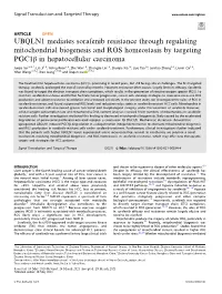 UBQLN1 Mediates Sorafenib Resistance Through Regulating Mitochondrial Biogenesis and ROS Homeostasis by Targeting Pgc1β in Hepatocellular Carcinoma