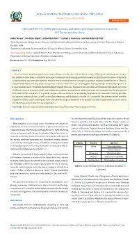 A Detailed Review on Morphotaxonomy And