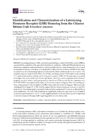 Identification and Characterization of a Luteinizing Hormone