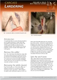Introduction Remove the Udder Removing the Pizzle (Penis)