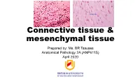 Connective Tissue and Mesenchymal Tissue