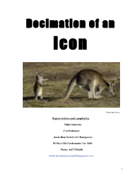 Decimation of an Icon