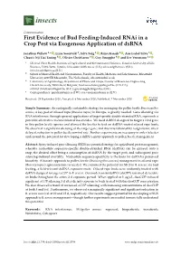 First Evidence of Bud Feeding-Induced Rnai in a Crop Pest Via Exogenous Application of Dsrna