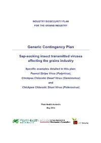 Insect Transmitted Viruses of Grains CP