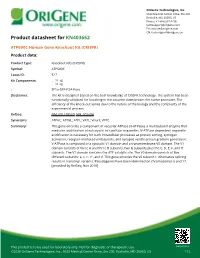 ATP6V0C Human Gene Knockout Kit (CRISPR) Product Data