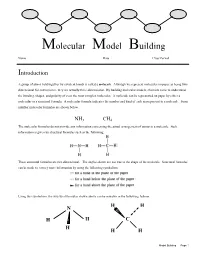 Molecular Model Building