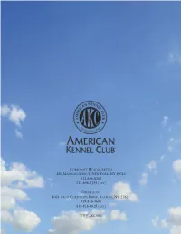 2008 AKC Annual Report