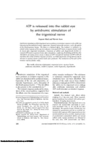 ATP Is Released Into the Rabbit Eye by Antidromic Stimulation of the Trigeminal Nerve