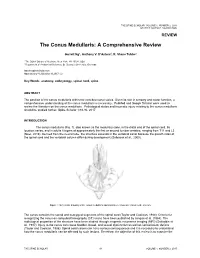 The Conus Medullaris: a Comprehensive Review