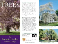 Campus Tree Guide