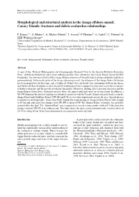 Morphological and Structural Analysis in the Anaga Offshore Massif, Canary Islands: Fractures and Debris Avalanches Relationships
