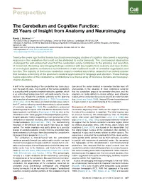 The Cerebellum and Cognitive Function: 25 Years of Insight from Anatomy and Neuroimaging