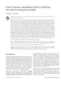 Fossil Cenozoic Crassatelline Bivalves from Peru: New Species and Generic Insights