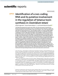 Identification of a Non-Coding RNA and Its Putative Involvement in The